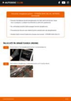 Manual de reparație Saxo Hatchback 1998 - instrucțiuni pas cu pas și tutoriale