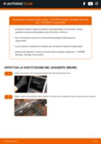 Sostituzione Tergicristalli anteriore e posteriore Citroen Berlingo Camion pianale: tutorial PDF passo-passo
