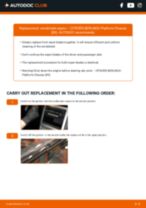 Handy step-by-step guide to show you how change the Wiper Blades on the BERLINGO