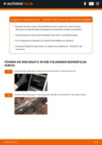 Die fachkundige Anweisung für den Radlager-Tausch bei deinem Peugeot 307 Limousine 2.0 HDi