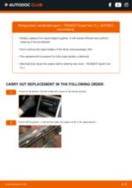 Online manual on changing Wipers yourself on PEUGEOT EXPERT Box