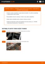 CITROËN Dispatch III Bortinis Sunkvežimis / Važiuoklė (V) 2020 remonto ir priežiūros instrukcija