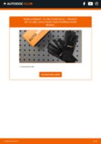 Comment changer Filtre climatiseur PEUGEOT 307 SW Kasten/Kombi (3E_, 3H_) - manuel en ligne