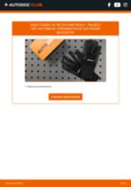 Mudar Discos de Travão ventilados e perfurados PEUGEOT 605: guia pdf