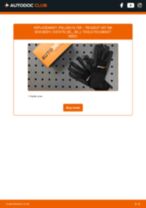 Comprehensive DIY guide to PEUGEOT 307 SW Kasten/Kombi (3E_, 3H_) maintenance & repairs