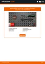 Citroen C4 Picasso mk1 2.0 i 16V manual pdf free download