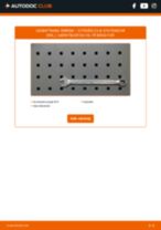 Den professionelle guide til udskiftning af Tændrør på din Citroen C5 3 2.0 HDi