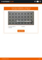 DIY-manual for utskifting av Kileribberem i PEUGEOT 108 2023