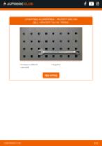 DIY-manual for utskifting av Kileribberem i PEUGEOT 508 2023