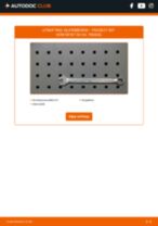 DIY-manual for utskifting av Kileribberem i PEUGEOT 807 2023