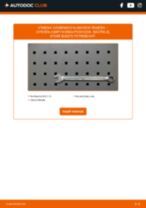 Podrobný PDF tutorial k výmene CITROËN JUMPY Platform/Chassis Klinový rebrovaný remen
