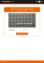 Encuentra y descarga de forma gratuita los manuales de mantenimiento para PEUGEOT 308 SW I Kasten / Kombi (4E_) en formato PDF