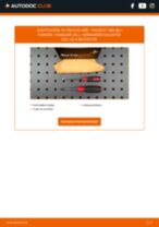 Encuentra y descarga de forma gratuita los manuales de mantenimiento para PEUGEOT 308 SW I Kasten / Kombi (4E_) en formato PDF