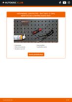 Stap-voor-stap PDF-handleidingen over het veranderen van SEAT EXEO ST (3R5) Luchtfilter