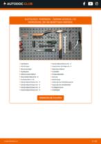 NISSAN QASHQAI / QASHQAI +2 (J10, JJ10) Stoßdämpfer: Schrittweises Handbuch im PDF-Format zum Wechsel