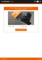 IVECO TurboCity 480 / 580 Fanale Posteriore sostituzione: tutorial PDF passo-passo