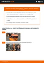 Cambio Escobillas delanteras y traseras PORSCHE bricolaje - manual pdf en línea