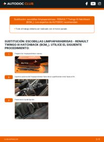 Cómo sustitución de Escobillas de Limpiaparabrisas 1.0 SCe 70 Renault Twingo 3