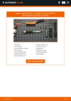 Tiešsaistes rokasgrāmata, kā mainīties Bremžu šķidrums uz SLR R199