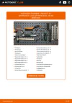 AUDI Injektoren Diesel und Benzin wechseln - Online-Handbuch PDF