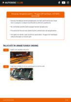Manualul online pentru schimbarea Pompa centrala de frana la Peugeot 208 Van