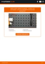 Manual online sobre a substituição de Lâmpada para Farol de Nevoeiro em KIA Concord Limousine (DGT)
