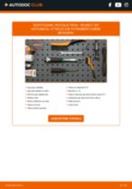Fiat Doblo Station Wagon Kit Cinghie Poly-V sostituzione: tutorial PDF passo-passo