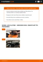 PDF nomaiņas rokasgrāmata: Stikla tīrītāja slotiņa MERCEDES-BENZ C Klase Saloon (W203) aizmugurē un priekšā