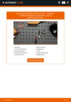 Reparatur- und Servicehandbuch für CITROËN C-Crosser Enterprise 2020
