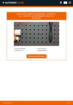 Cambio Unidad de bobina de encendido CITROËN bricolaje - manual pdf en línea