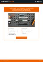 Manual online sobre a substituição de Bieleta de barra estabilizadora em PEUGEOT 207 SW Kasten / Kombi (WK_)