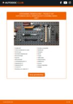 De professionele reparatiehandleiding voor Remblokken-vervanging in je PEUGEOT 307 (3A/C) 1.6 16V
