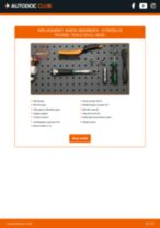 Citroen C3 Picasso 1.6 manual pdf free download