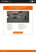 Guía para la instalación de Kit amortiguadores en el PEUGEOT 207