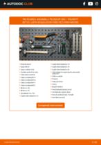 PDF manual pentru întreținere 207 CC (WD_) 1.6 16V Turbo