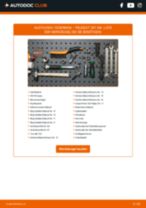 PEUGEOT 207 SW (WK_) Stoßdämpfer Gasdruck und Öldruck tauschen: Handbuch pdf