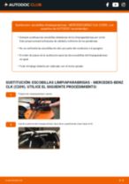Cómo cambiar Escobilla delanteras y traseras MERCEDES-BENZ CLK (C209) - manual en línea