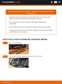 Sostituzione di Tergicristalli Peugeot 207 Hatchback 1.4 HDi