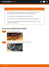 Cum să efectuați înlocuirea: Lamela stergator Peugeot 207 cc 1.6 16V