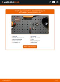 Kā veikt nomaiņu: 1.2 VTi 82 DS3 Convertible Eļļas filtrs