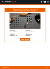 Jak provést výměnu: Olejovy filtr DS 5 Hatchback 2.0 BlueHDi 180