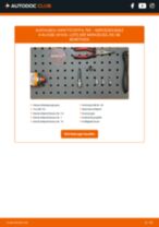 Werkstatthandbuch für A-Klasse (W169) A 200 (169.033, 169.333) online