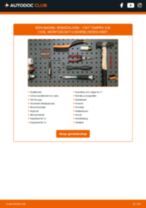 Vervang het Homokineet reparatie set aandrijfas van de FIAT SEDICI met onze online pdf-handleiding
