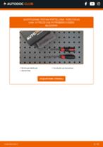 SEAT Alhambra 7M Catena di Distribuzione sostituzione: tutorial PDF passo-passo