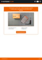 FORD Kuga Mk1 (C394) Katalysator tauschen: Handbuch pdf
