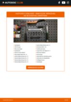 AIXAM A.741 Abgastemperatursensor: PDF-Anleitung zur Erneuerung
