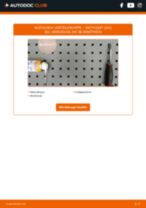 Werkstatthandbuch für PASSAT (3A2, 35I) 1.9 D online