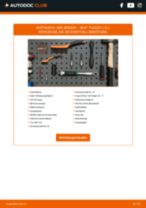 SEAT Tarraco (KN2_) Katalysator: PDF-Anleitung zur Erneuerung