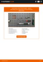 Auto-Reparaturhandbuch online
