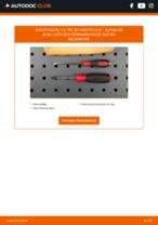 Manual DIY sobre como substituir o Escovas do Limpa Vidros no ALPINA B6 2016